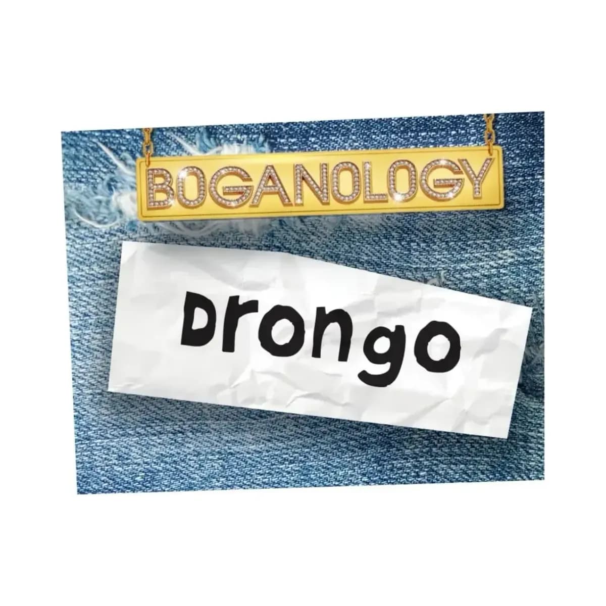Boganology - Image 5