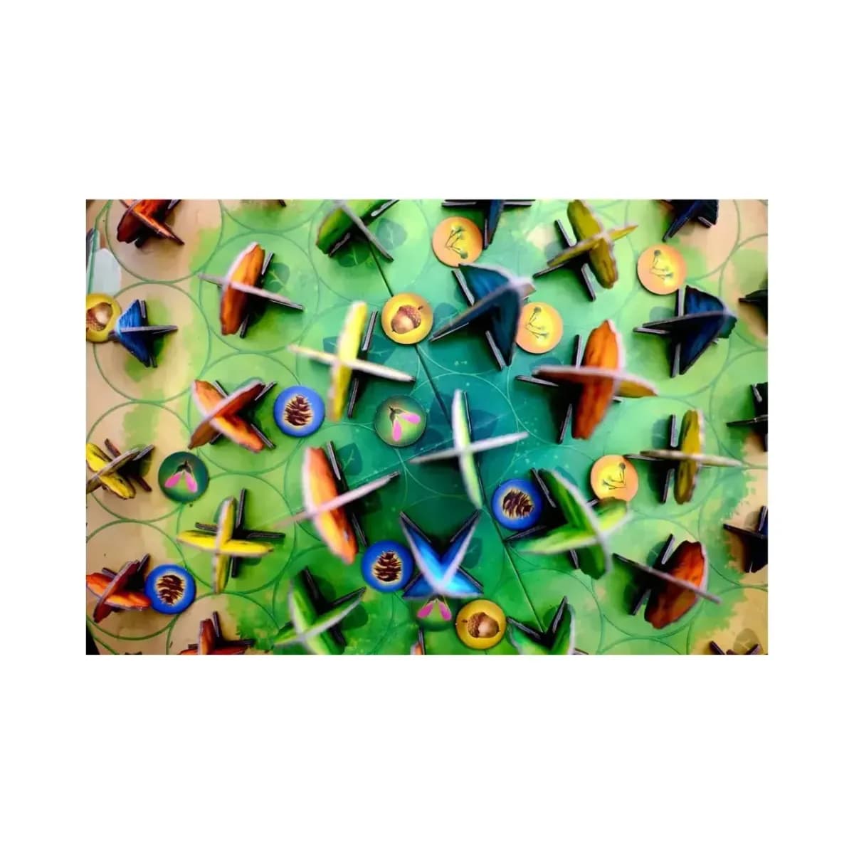 Photosynthesis - Image 3