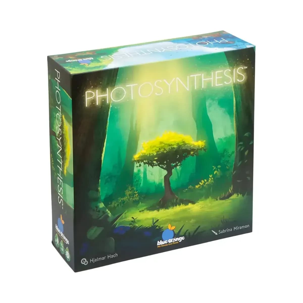 Photosynthesis